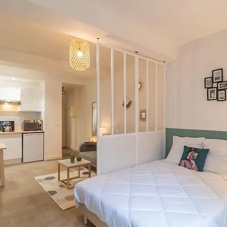 Apartment Le Sauge, Loft, Clim, Proche Comedie